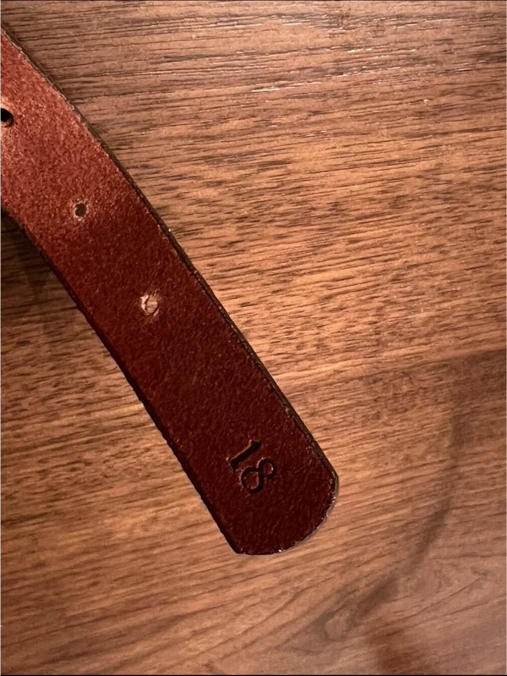 Leather & Brass Collar